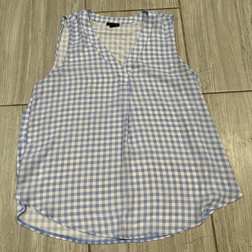 Ann Taylor Blue Gingham Blouse